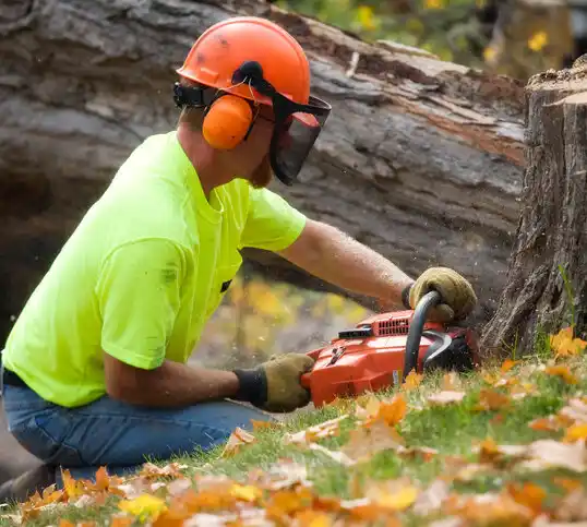 tree services Albertville